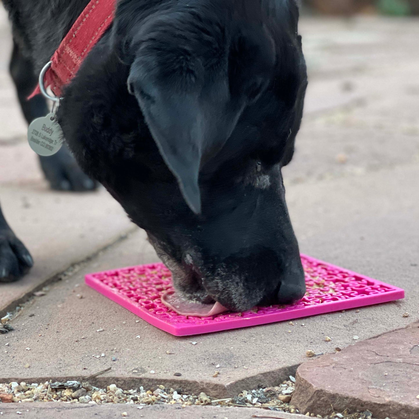 Dog & Cat Lick Mat - Jigsaw Enrichment, Slow Feeder