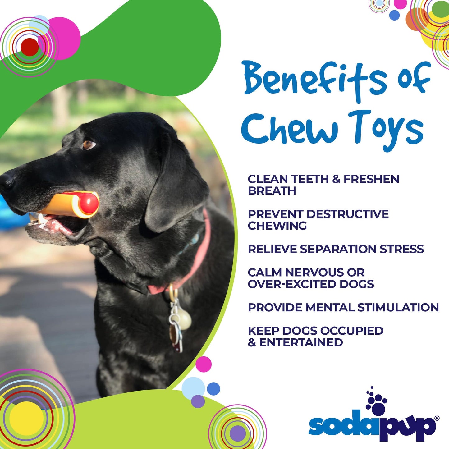 Dog Chew Toy - Hot Dog Shape, Nylon, Aggressive Chewers