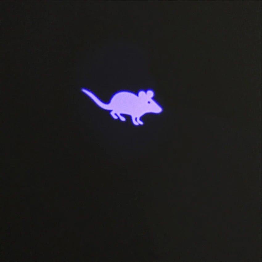 Cat & Dog Laser Toy - Interactive LED Pointer