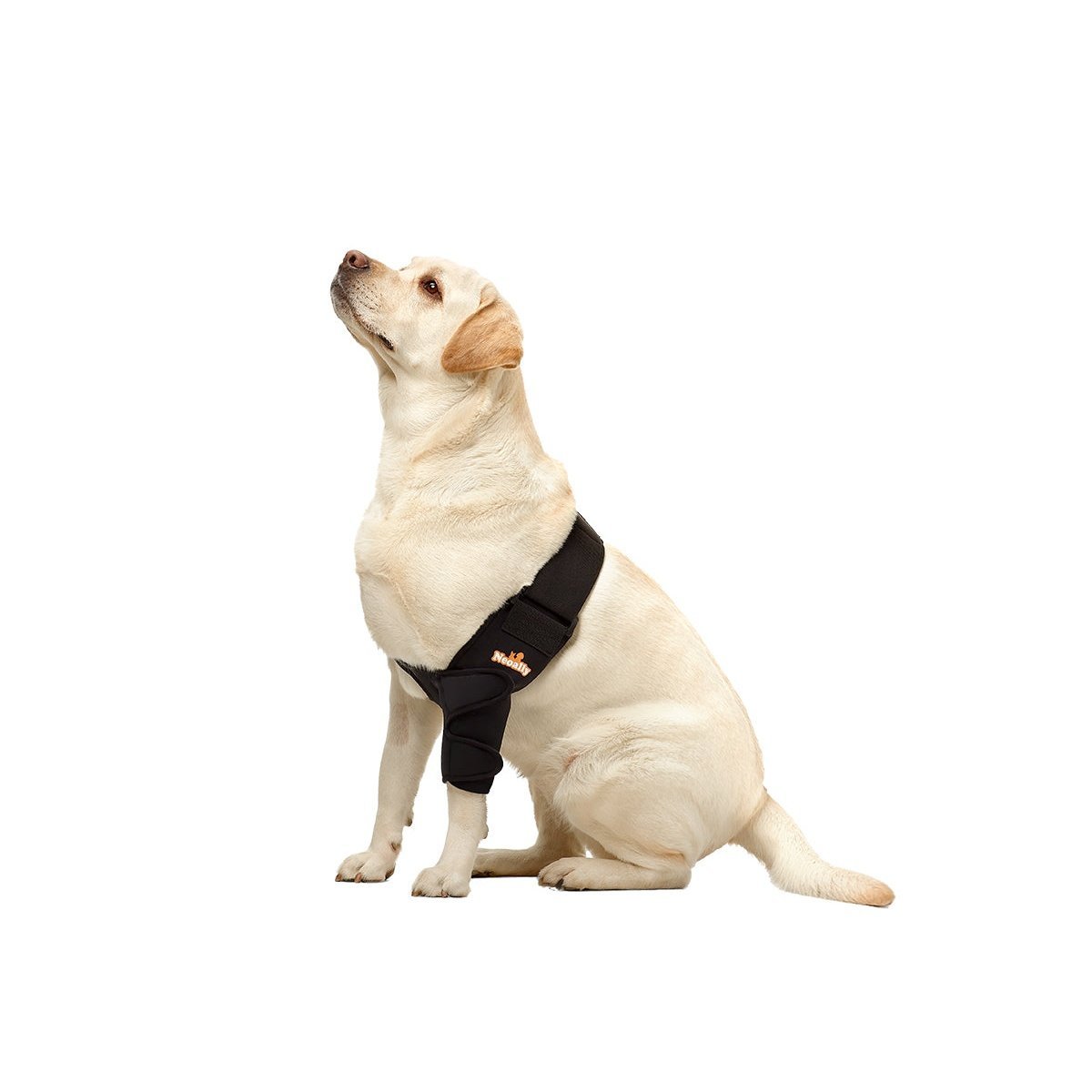 Dog & Cat Elbow Brace - Joint Support, Left/Right/Both