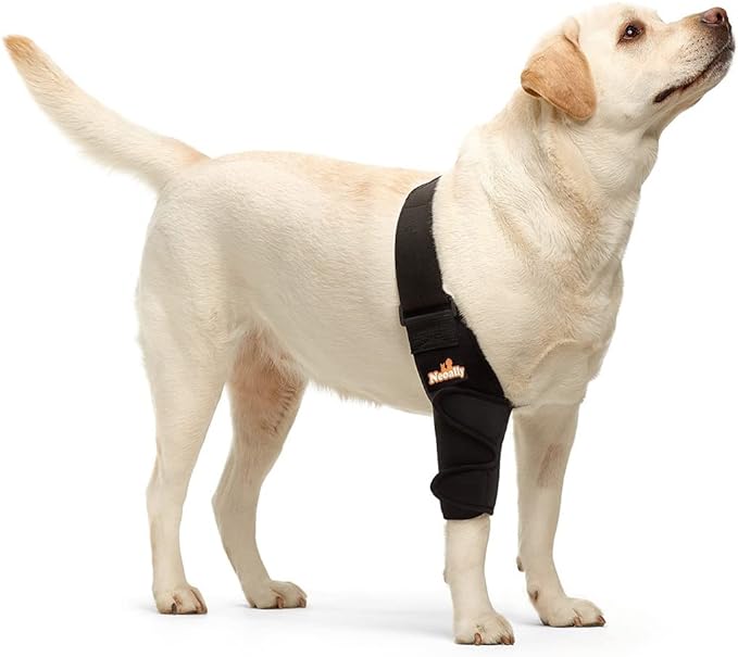 Dog & Cat Elbow Brace - Joint Support, Left/Right/Both