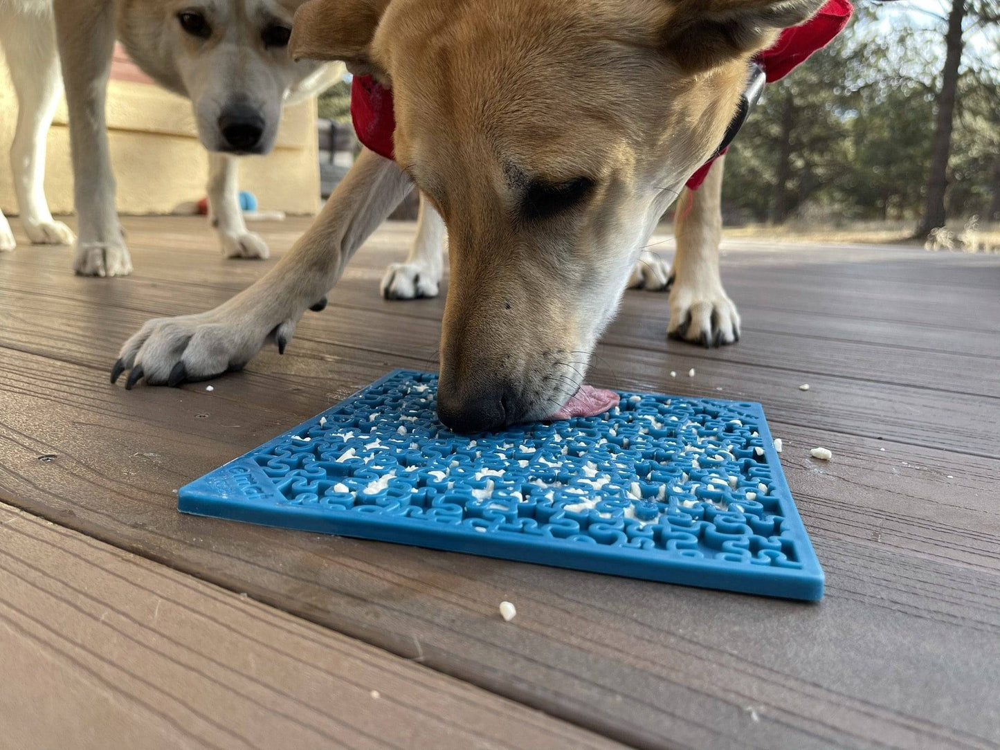Dog & Cat Lick Mat - Jigsaw Enrichment, Slow Feeder